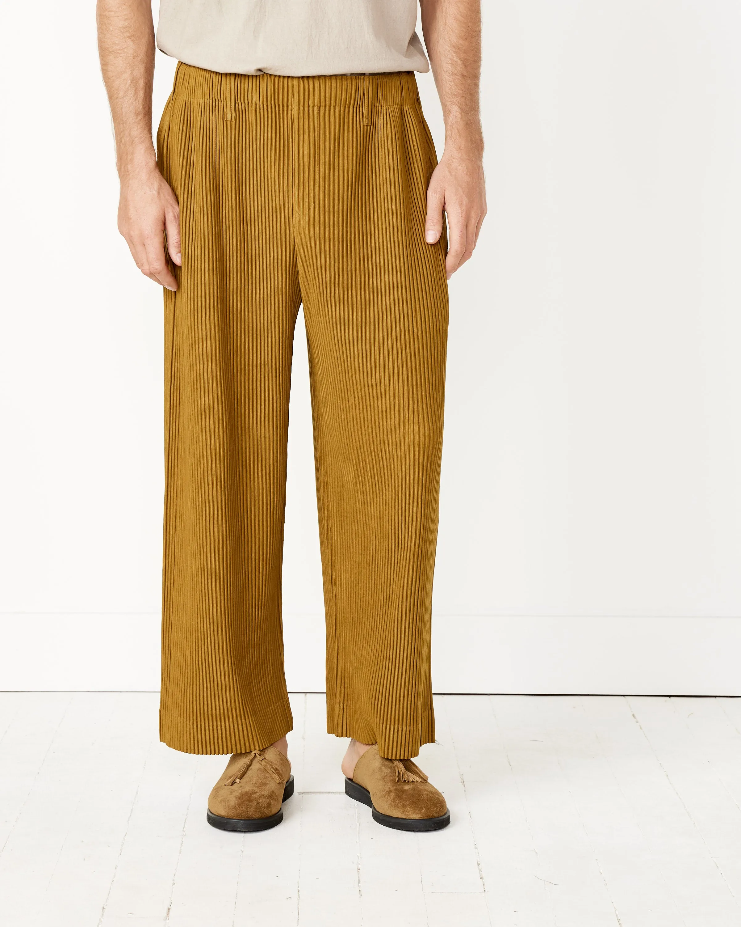 Tailored Pleats 2 Pants