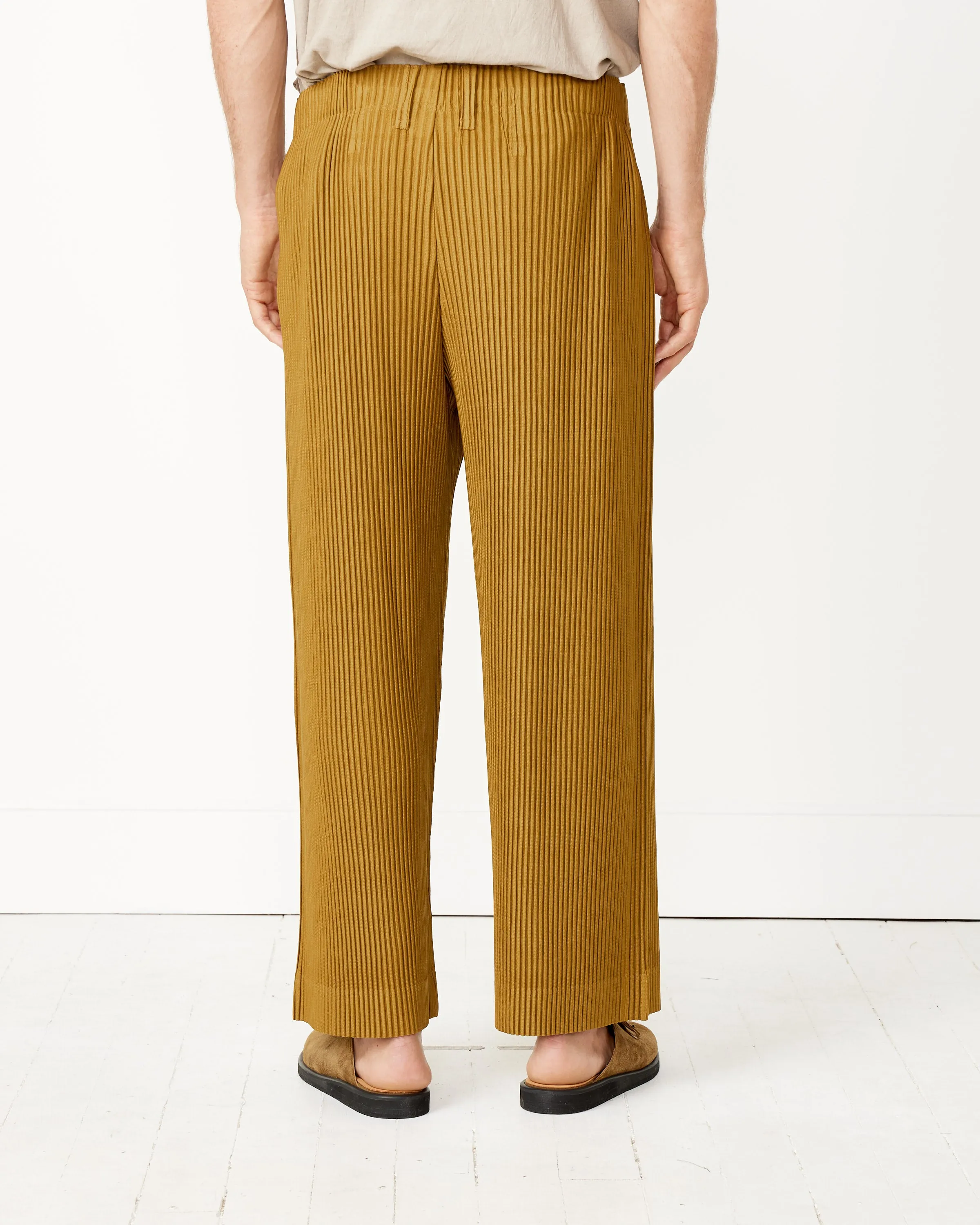 Tailored Pleats 2 Pants