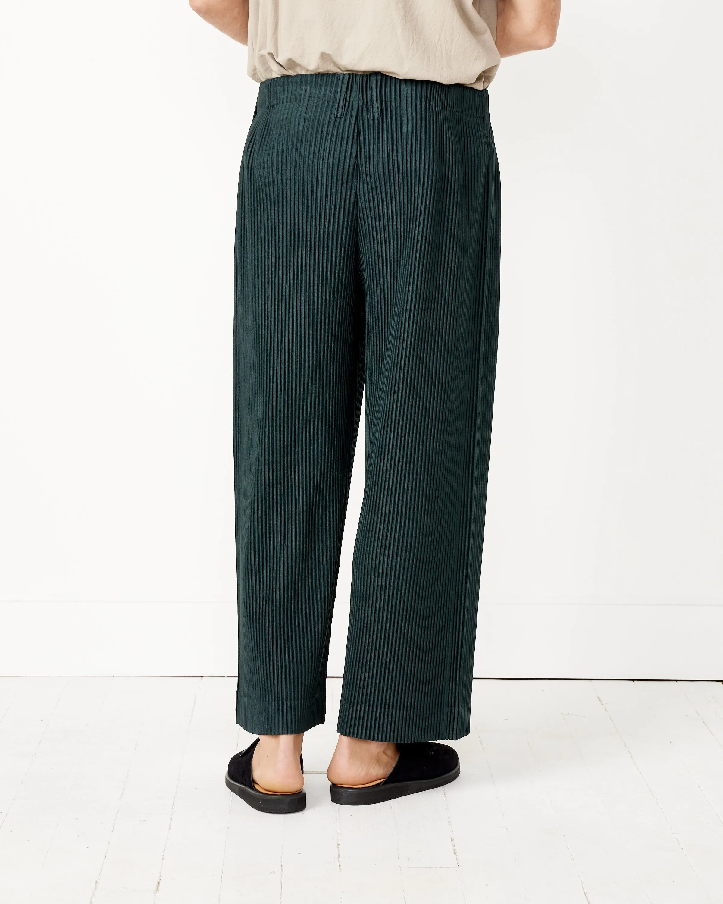 Tailored Pleats 2 Pants