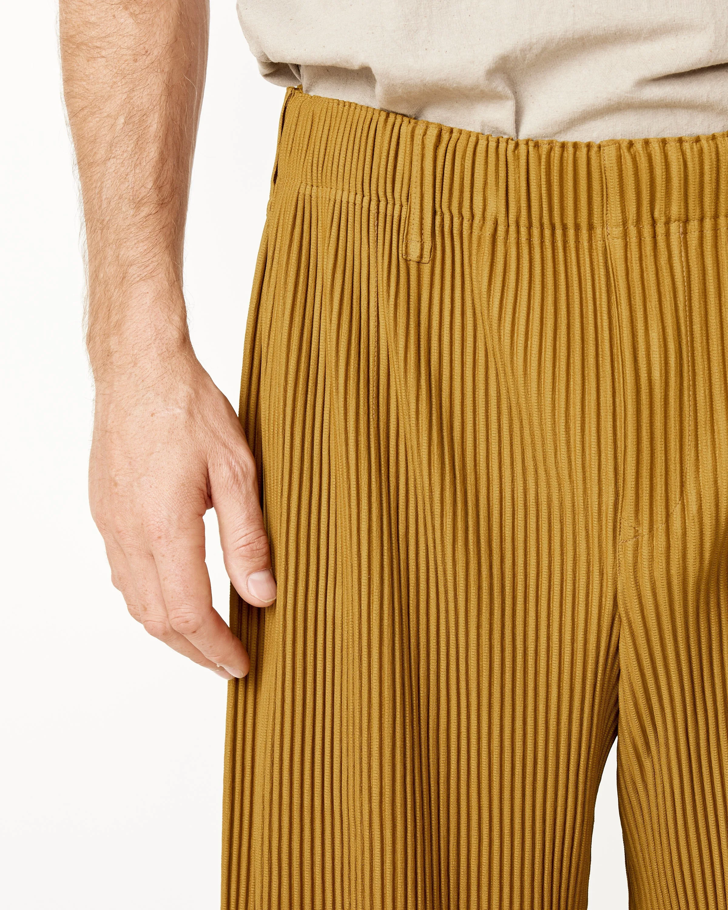 Tailored Pleats 2 Pants