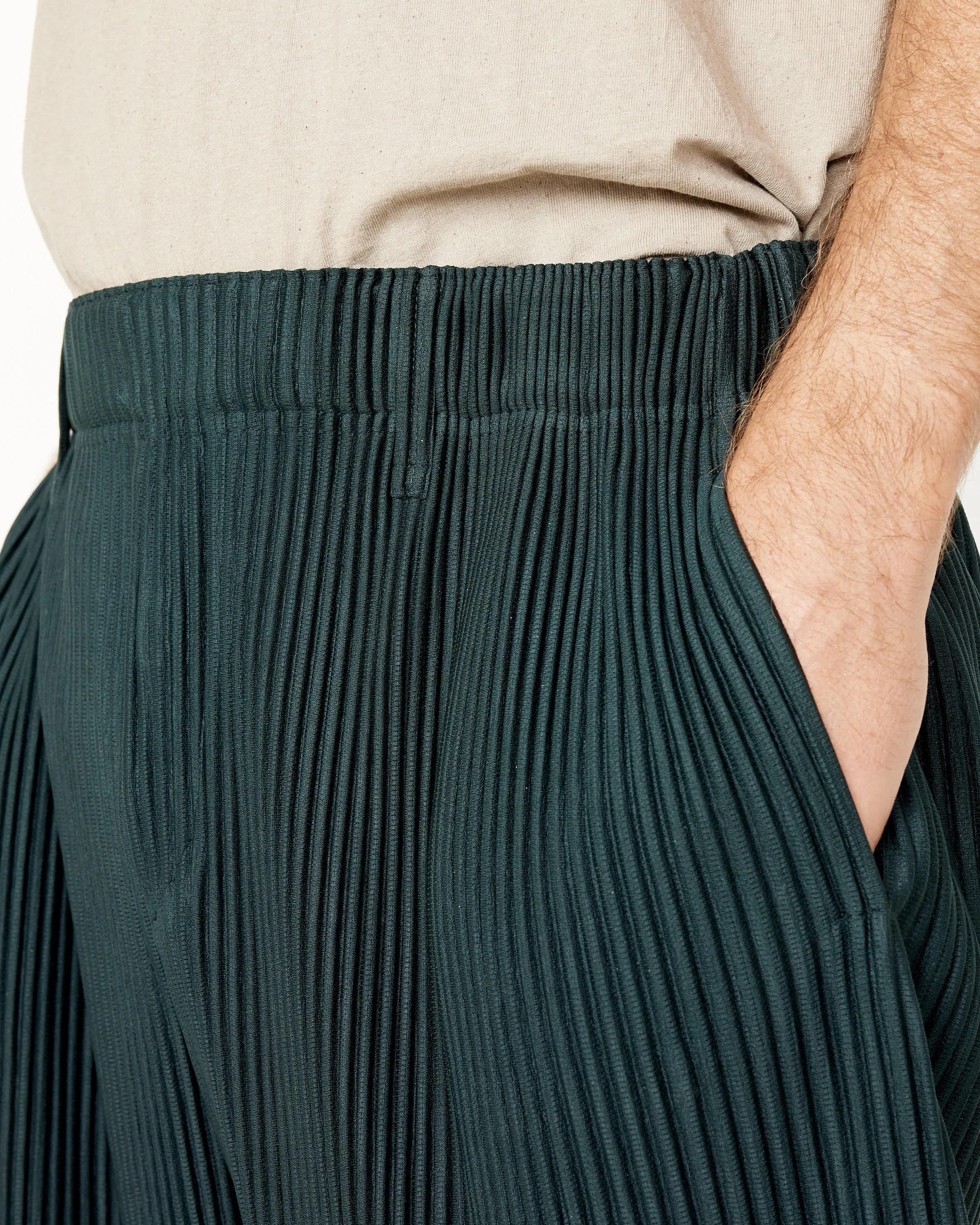 Tailored Pleats 2 Pants