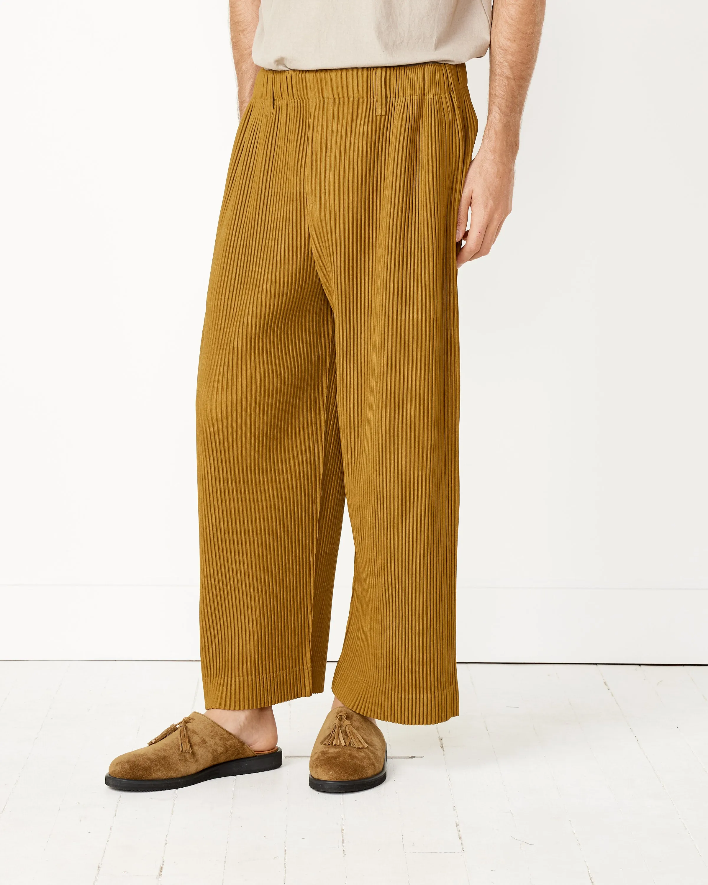 Tailored Pleats 2 Pants