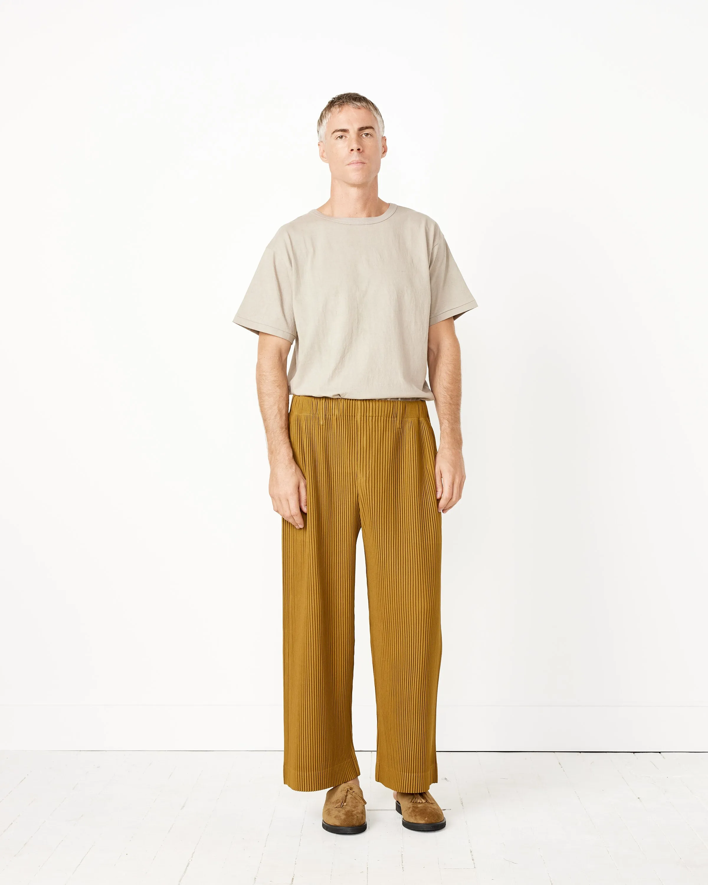 Tailored Pleats 2 Pants